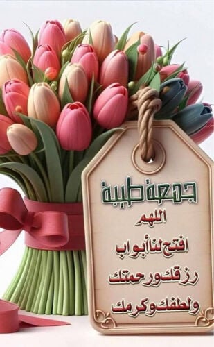  معلمة لغة انجليزيه وعلوم وأحياء 