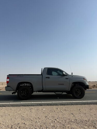 تندرا . تاندرا