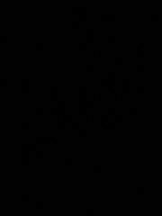 وظائف شاغرة 