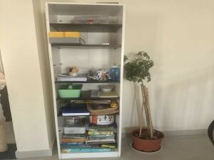 Shelfs
