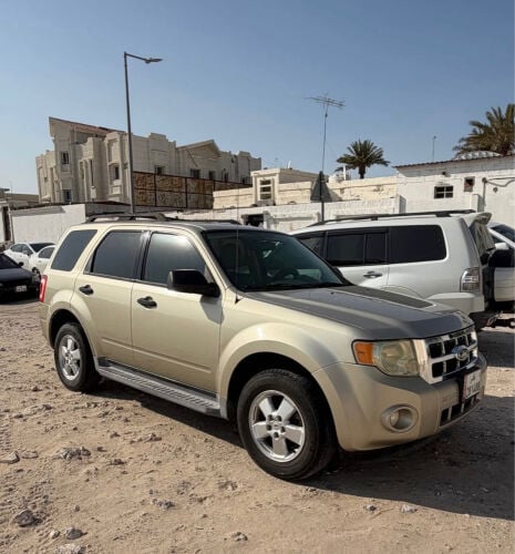 Family used Ford Escape