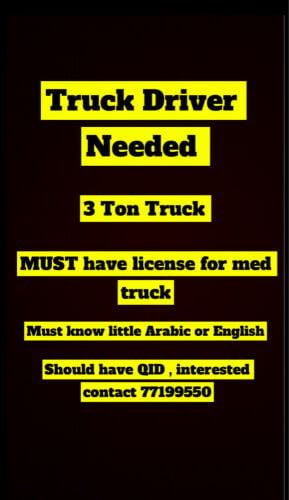 truck driver 3 ton 