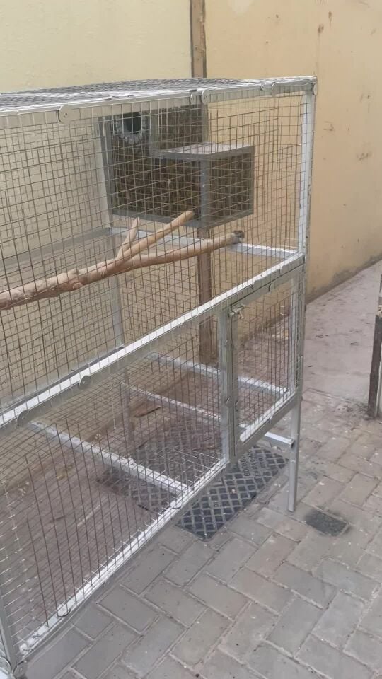 للبيع 