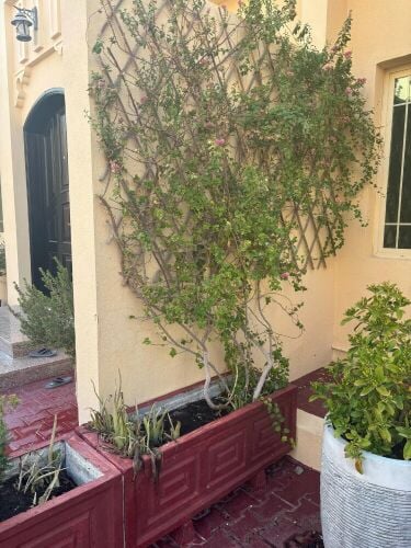 concrete flowerpot