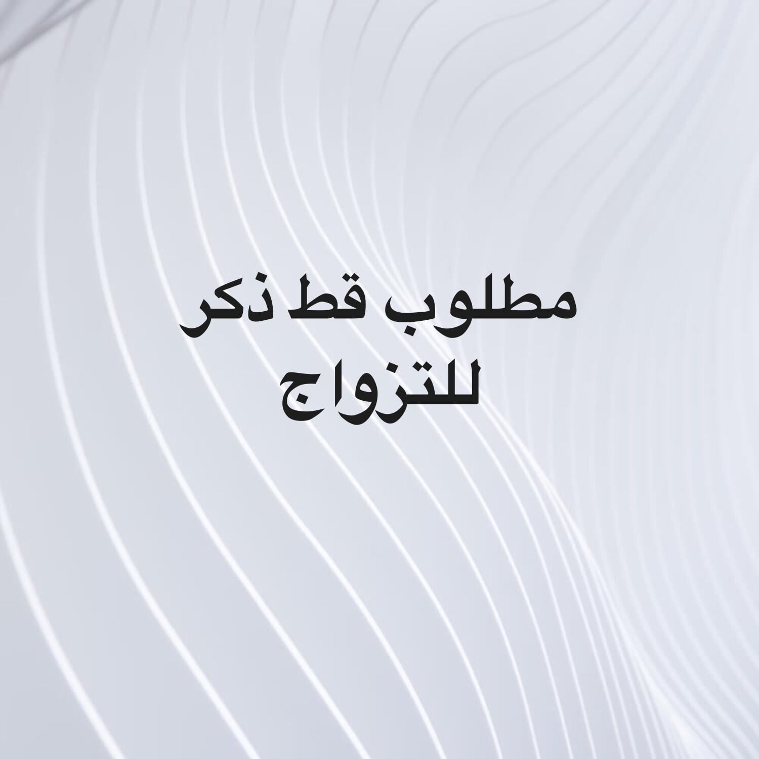 مطلوب قط ذكر للتزاوج