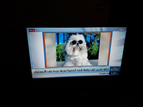 تلفزيون شاشة سمارت فل 32