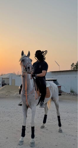 حصان عربي 