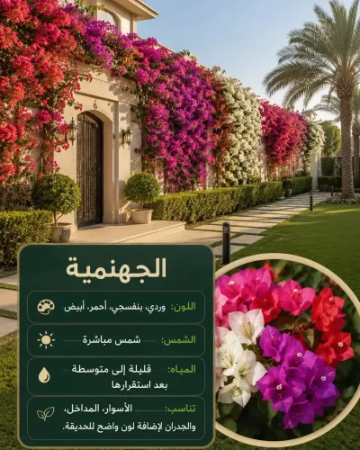 عقود شهريه لصيانه الحدائق