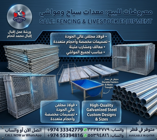 اتصل على الرقم 33342779