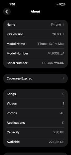 iphone 13 pro max 256 gb