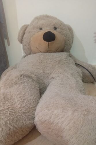 teedy bear