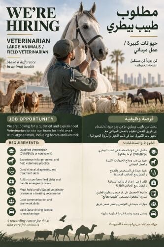 طبيب بيطري معالج