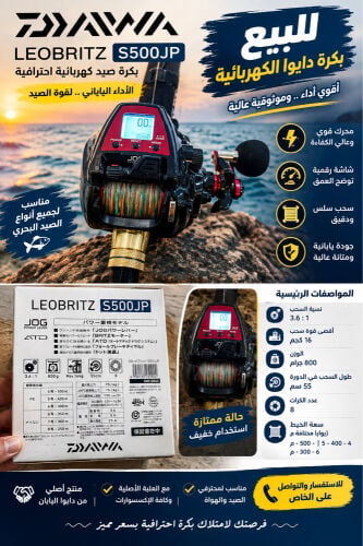 Daiwa LEOBRITZ S500J