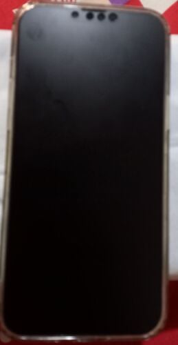 iPhone 13pro max