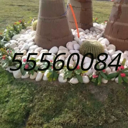 منسق حدائق