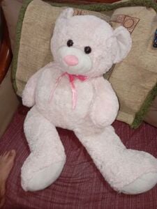 Big teddy bear