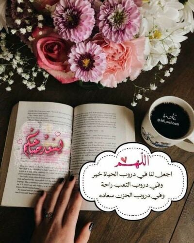 مسوقة  عقارية+ إدارين +سايس خيل