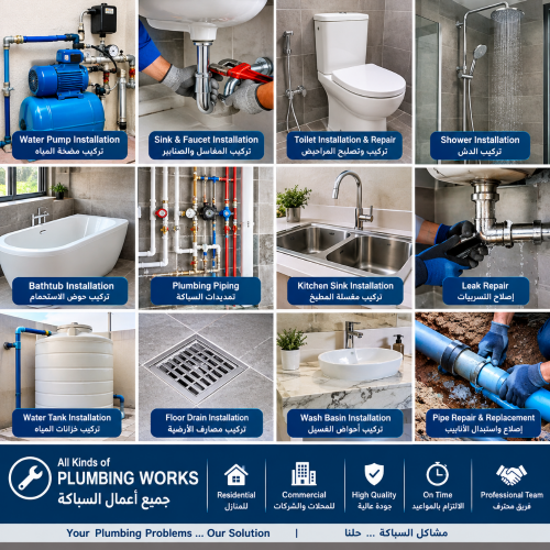 Professional Plumbing Services