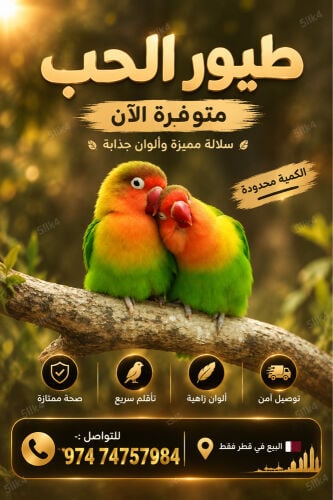 طيور الحب 
