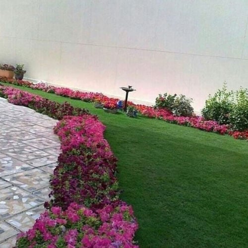 زراعه الورود
