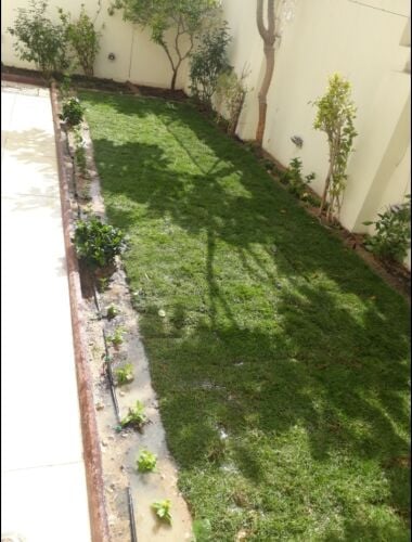 منسق وراعي الحدائق
