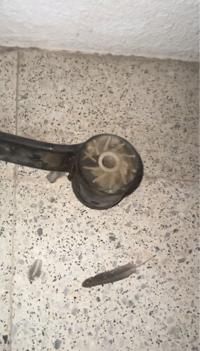 ريش و بوشات سوبر برو للريش