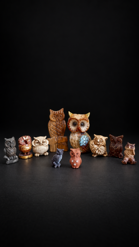 owl collection