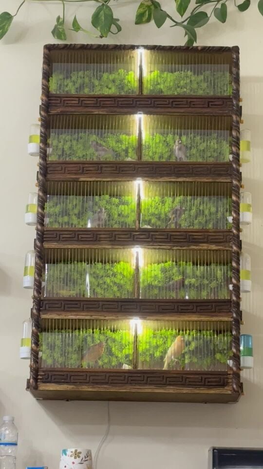 10 in 1 wooden bird cage
