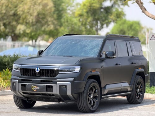 BYD Danza B8