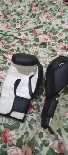 Everlast Pro Boxing Gloves / Focus