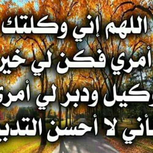 استاذ لغة انجليزية