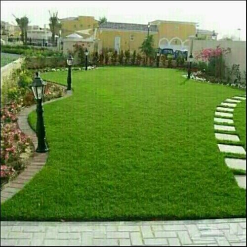 مزارع ومنسق حدائق  55079950