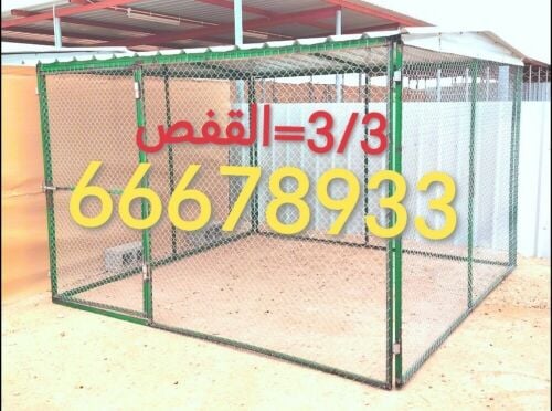 3/3=قفص