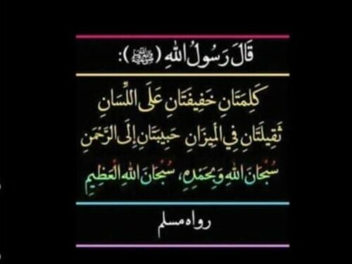 محمد عادل