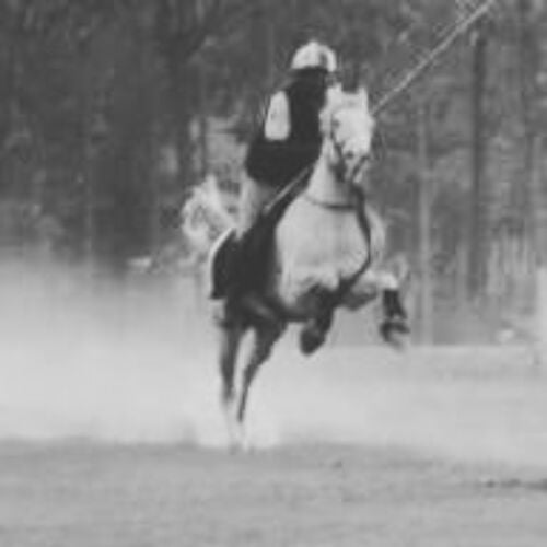 training