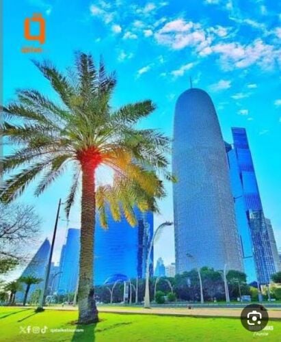 فواد