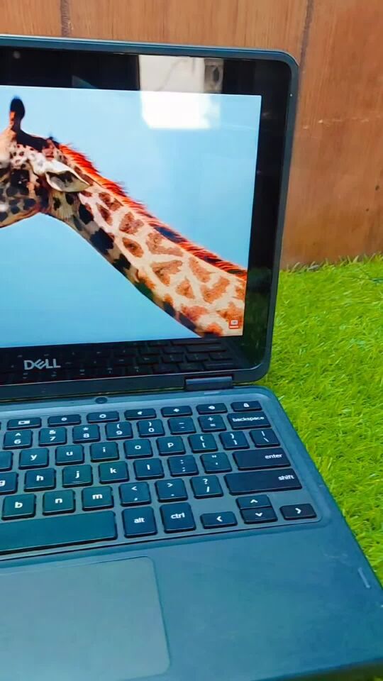 dell chrome book