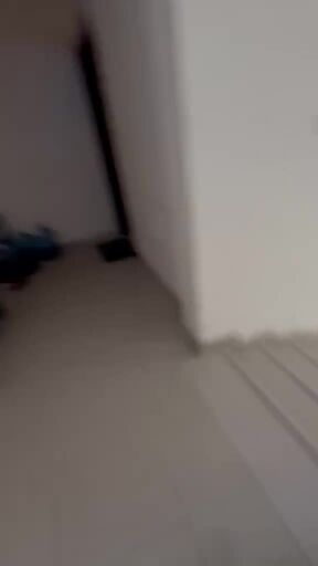 استوديو كبير الدحيل العبيب