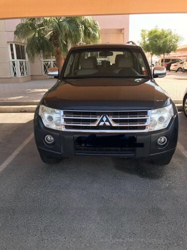 Mitsubishi Pajero 2010 Model