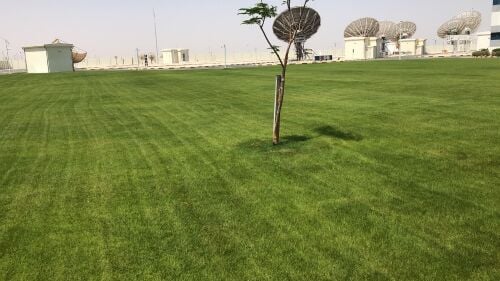 الصيانه العامه للحديقة