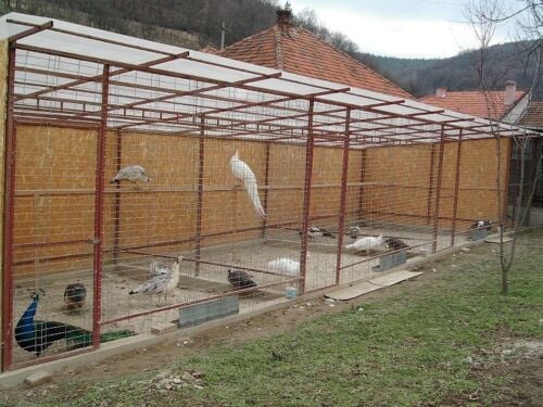 ghopac 3x3