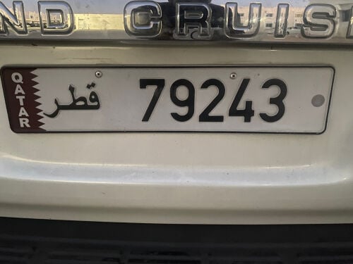 محمد 
