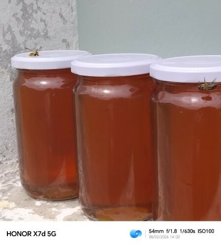 natural sider honey