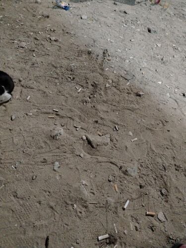 Gypsum