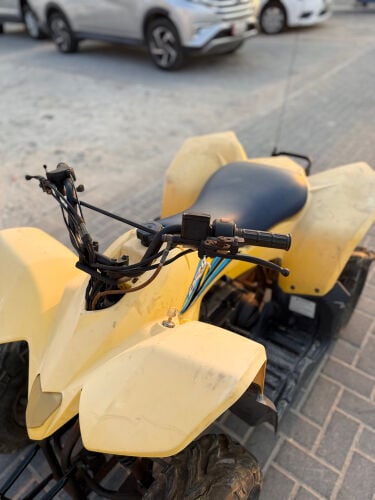 بطبوطة