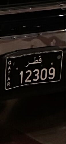 12309 