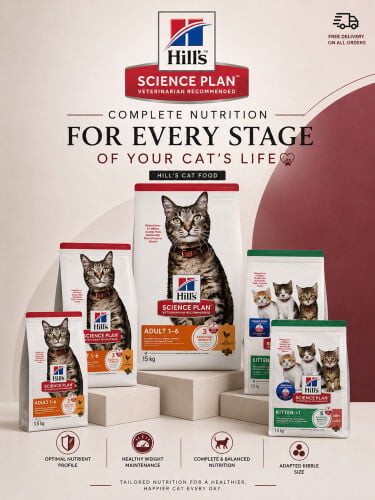 hills Cat Food