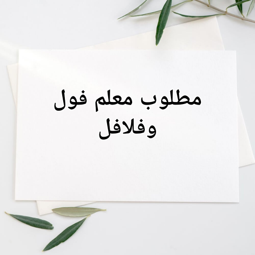 مطلوب معلم فول وفلافل