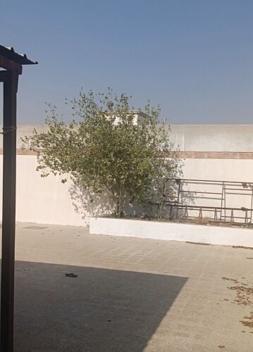 بيت ارضي للايجار لعائلة سميسمة