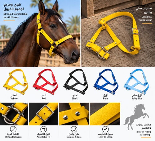 Premium Horse Halter